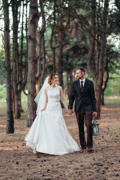 Paseo de los novios por el bosque otoñal en octubre