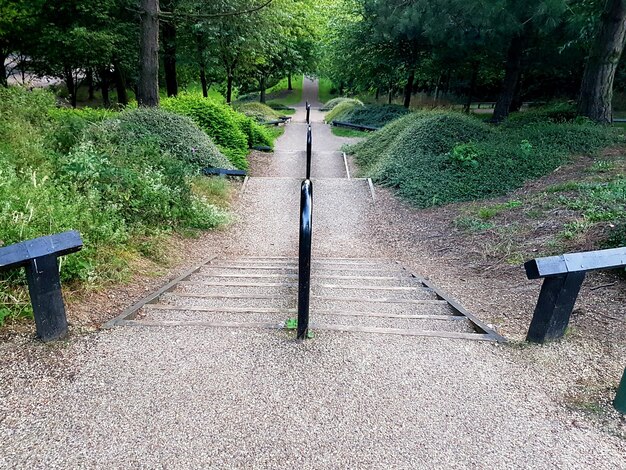 Paseo en el parque