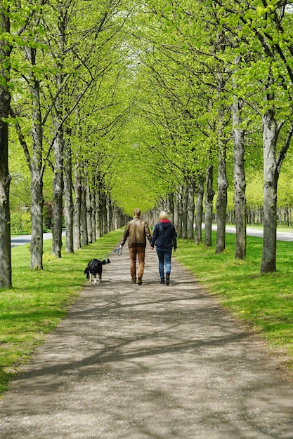 Paseo con el perro