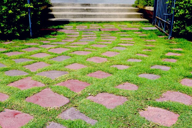 Foto paseo de piedra en el jardín