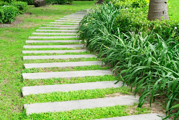 Paseo de piedra en el jardín