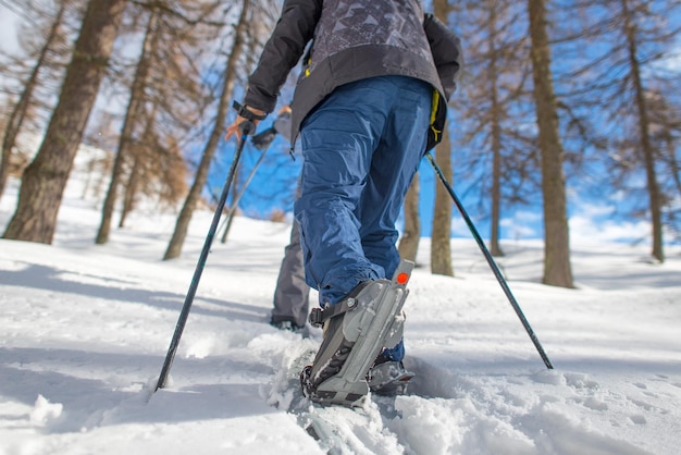 Paseo con raquetas de nieve entre los alerces