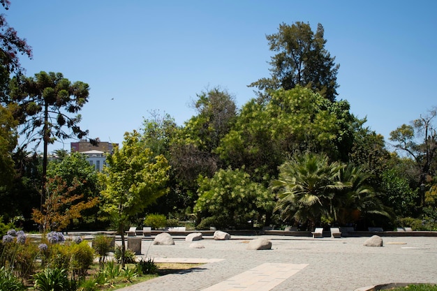 paseo tranquilo en el centro de la ciudad en medio de la calma de la naturaleza con flores, árboles y arbustos calles peatonales