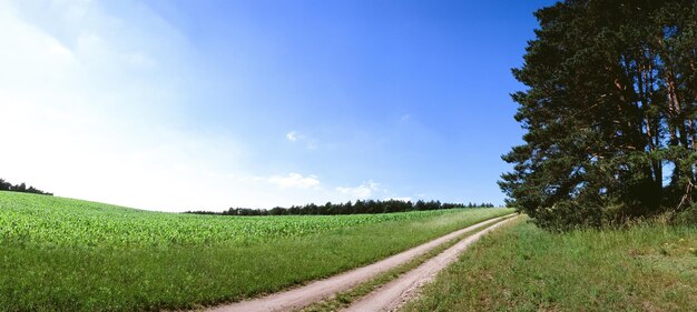 Foto paseo vacío por un campo de hierba contra el cielo