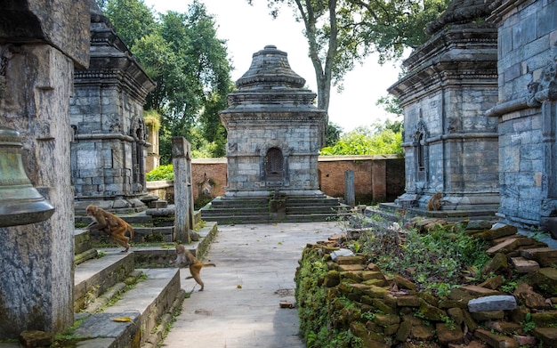 Pashupatinath-Tempelkomplex in Kathmandu