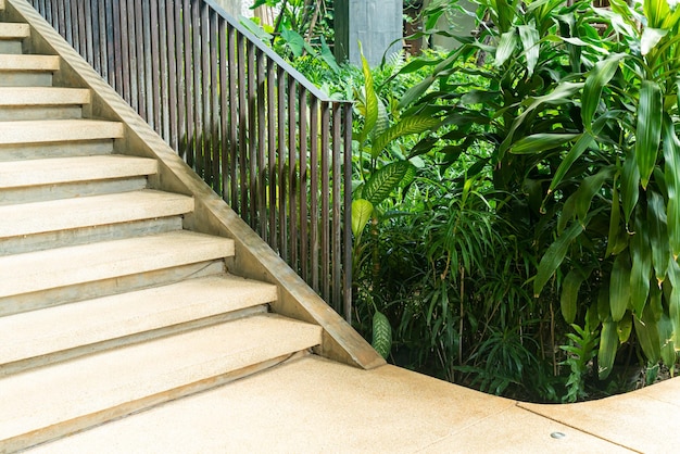 Paso de escalera con árbol tropical