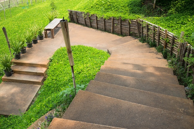 Paso de escaleras de piedra marrón con planta verde al lado del camino