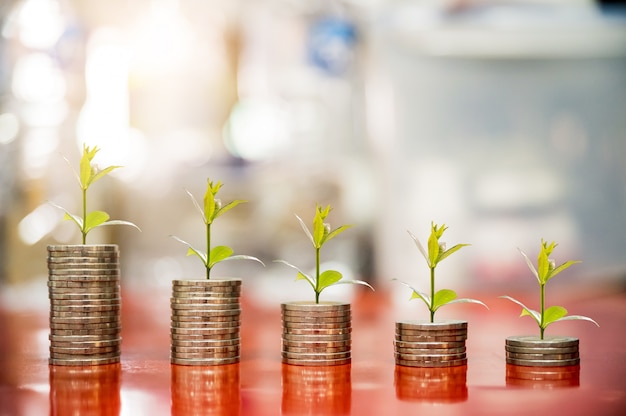 Paso de monedas con planta creciendo en la parte superior