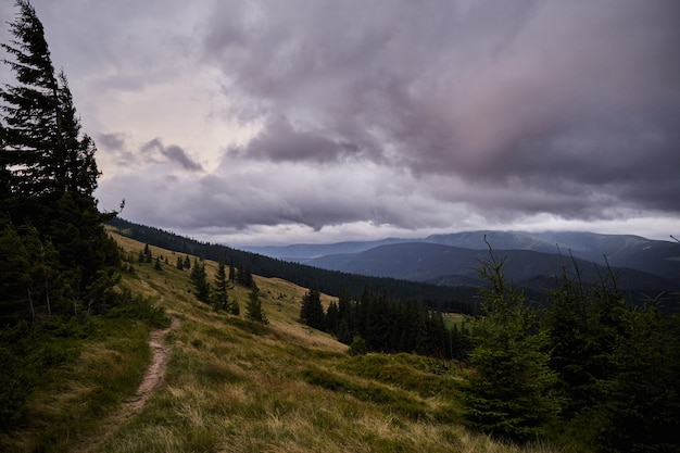 Paso de montaña en el prado antes de la tormenta. Paisaje forestal en las montañas de los Cárpatos