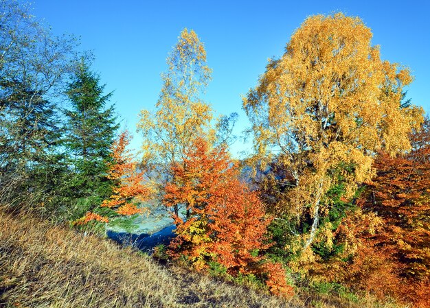 Paso de Nimchich de la montaña del otoño (Cárpatos, Ucrania) y árboles coloridos en la colina.