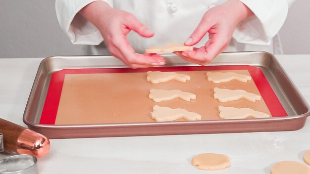 Paso a paso. Galletas de azúcar de Pascua sin hornear dispuestas para hornear en una bandeja para hornear.