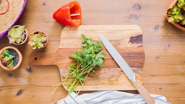 Paso a paso. Rebanar verduras para rellenar para hacer empanadas.