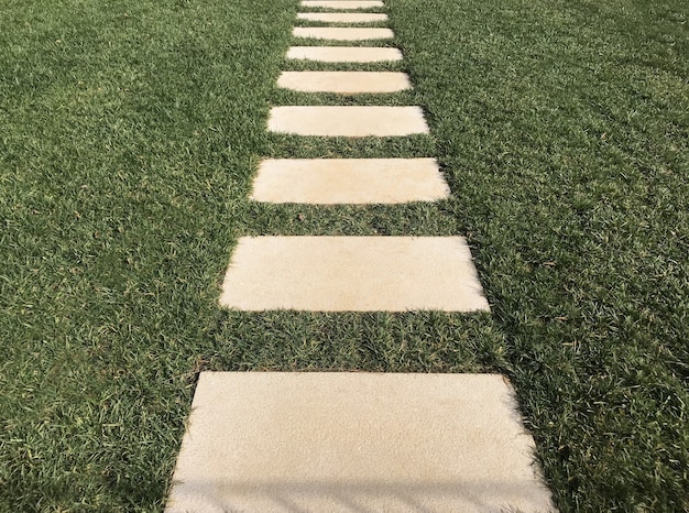 Paso de peatones en el césped del jardín