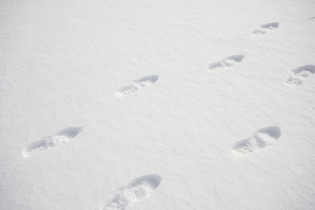 Pasos de pie sobre suelo de nieve