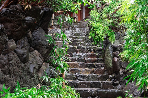 Pasos de piedra mojada en Kyoto Japón