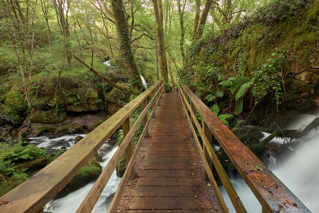 Passadiços de madeira às margens do rio arenteiro, na região da galiza, espanha.