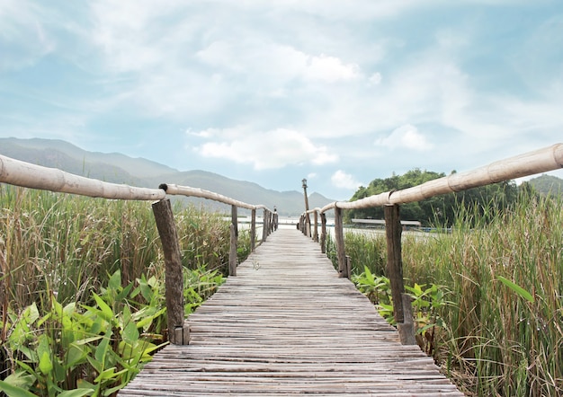 Foto passagem da ponte de bambu para o lago no campo verde