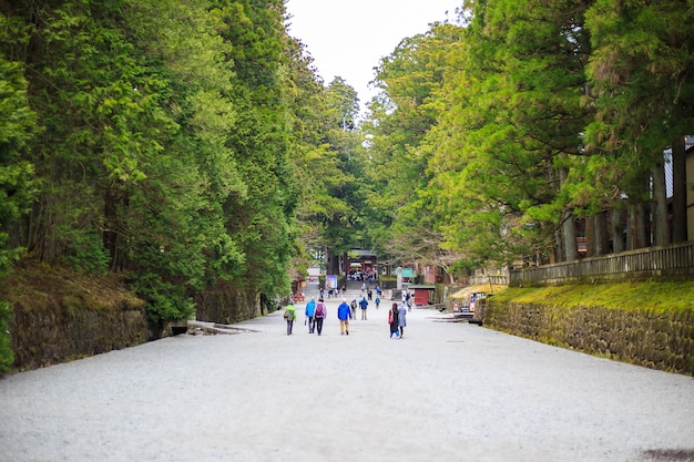 Foto passagem em nikko, japão.