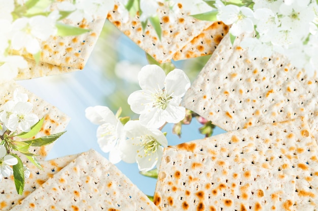 Passah-Seder-Konzept Davidstern aus Matzah vor dem Frühlingsblütenbaum Garten und Blumen Landschaft mit Sonnenstrahlen mit Kopierraum Pesach-Ferien Mock up