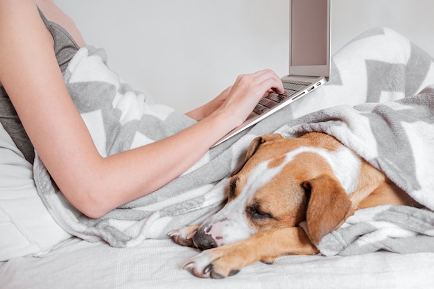 Passar um tempo na cama e teletrabalhar, conceito preguiçoso de dormir aconchegante.