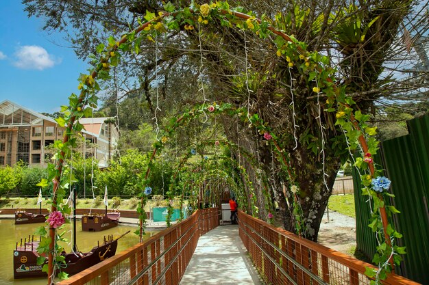 Passarela com arcos de flores no Parque Capivari em Campos do Jordão, Brasil