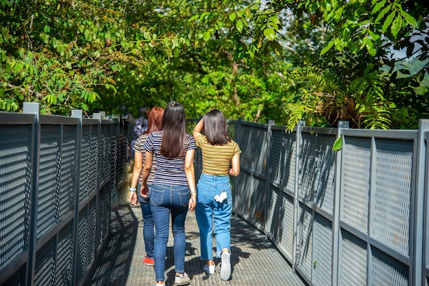 Passarela de copa a mais longa passarela pelas copas das árvores da tailândia é aberta no jardim botânico queen sirikit