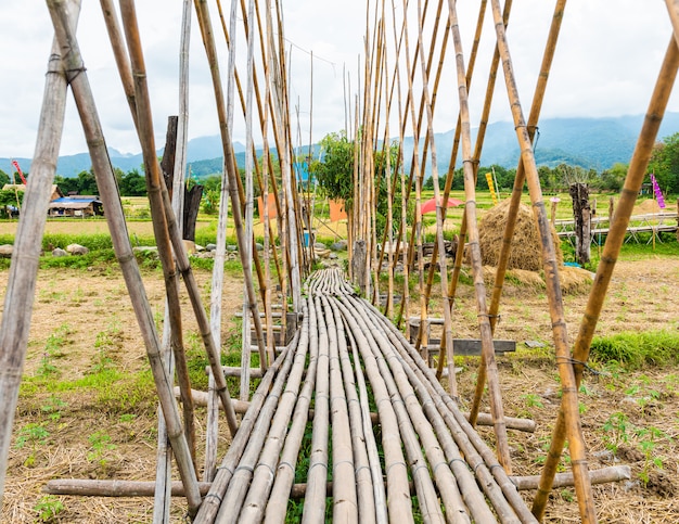 Passarela foi construída de bambu