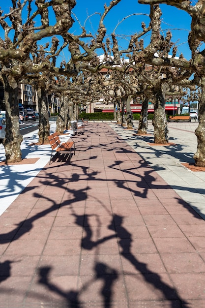 Foto passarela na praça do centro da cidade com árvores nas laterais no norte da espanha