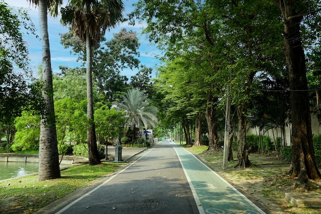 Passarelas e ciclovias na ciclovia do parque