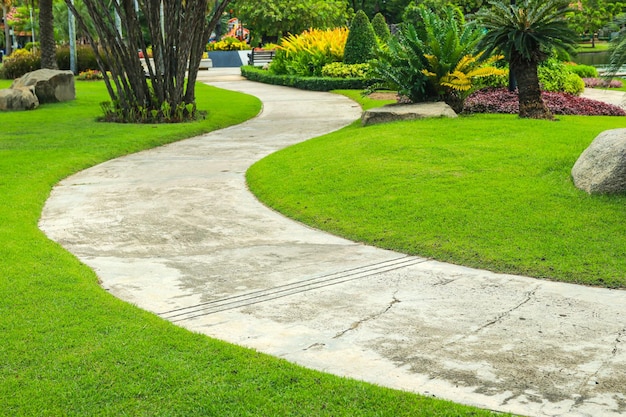 Passarelas e plantas decorativas no jardim