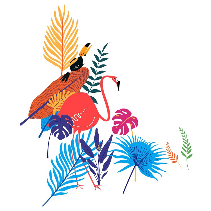 Foto pássaro botânico png clip art adesivo flamingo e tucano fundo transparente