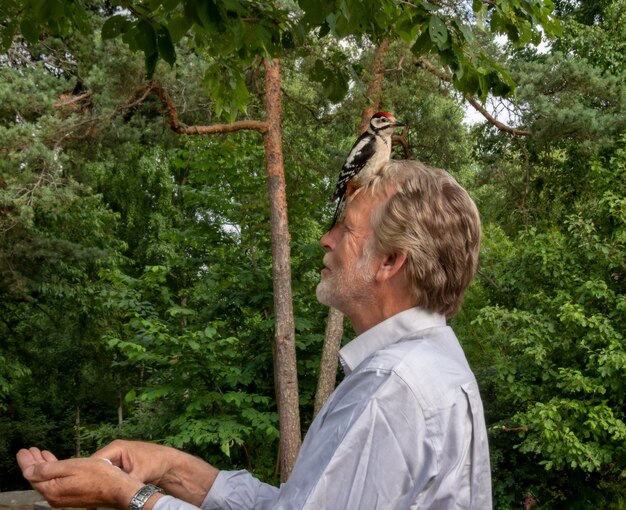 Foto pássaro empoleirado sobre a cabeça do homem contra as árvores