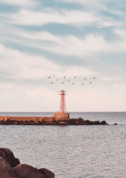 Foto pássaros a voar sobre o mar contra o céu