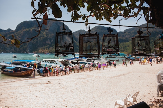 Pássaros em gaiolas na praia