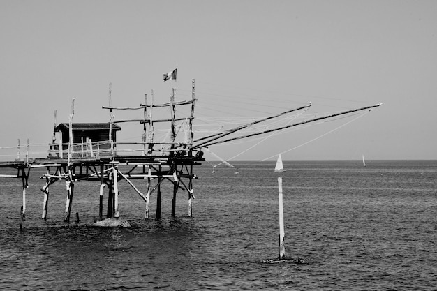 Foto pássaros no mar contra o céu claro