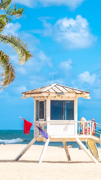 Passeio à beira-mar com palmeiras em um dia ensolarado em Fort Lauderdale