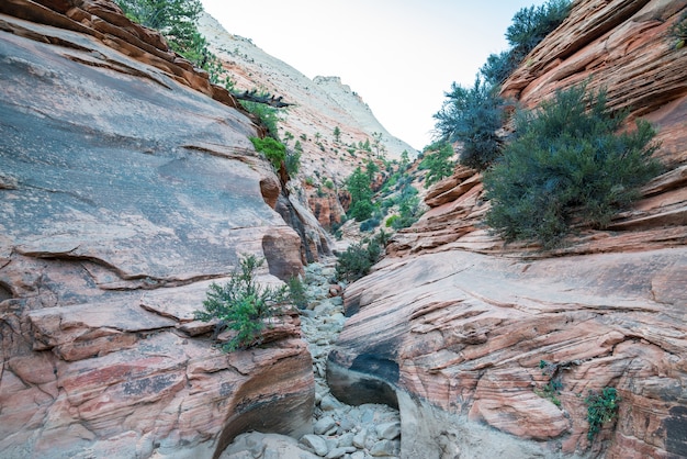 Passeio cênico em Zion national park Utah