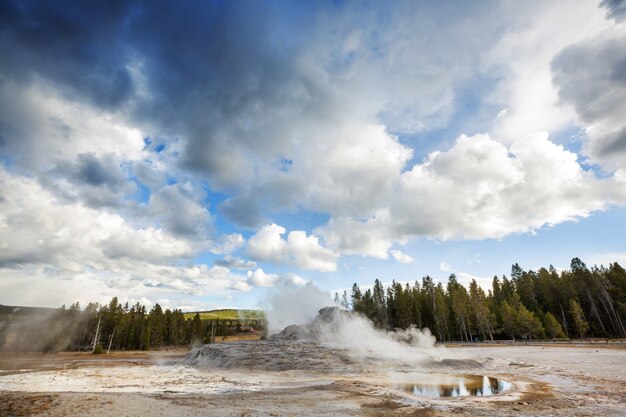 Passeio de tábuas de madeira ao longo de campos de gêiseres no parque nacional de yellowstone, eua