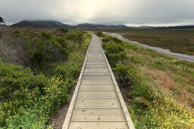 Passeio marítimo sobre campo gramado no Parque Estadual de Morro Bay
