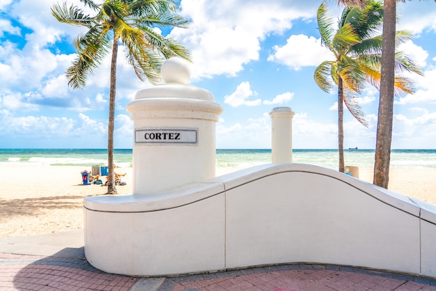 Passeio pela praia de fort lauderdale com palmeiras