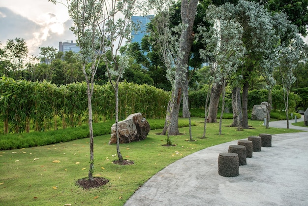 Passeio verde da grama do parque urbano da cidade