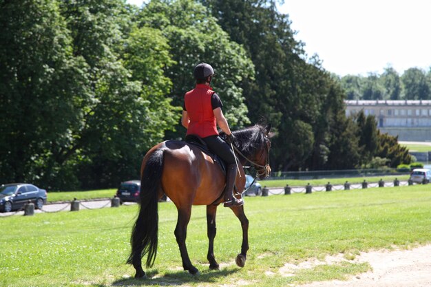 Passeios a cavalo em Chantilly