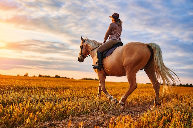 Foto passeios a cavalo pelo prado durante o pôr do sol