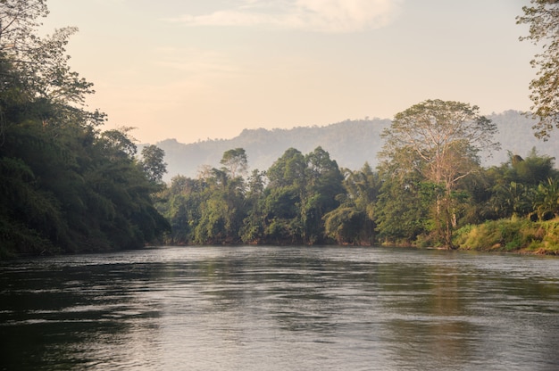 Foto passeios de barco à vela da selva tropical no rio kwai