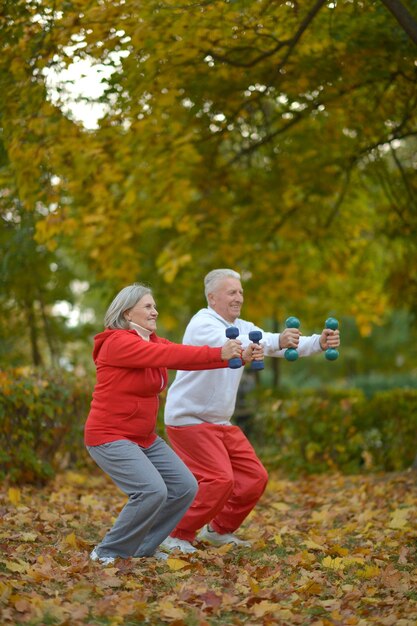 Passen Sie ältere Paare an, die im Park trainieren