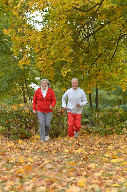 Passen Sie ältere Paare an, die im Park trainieren