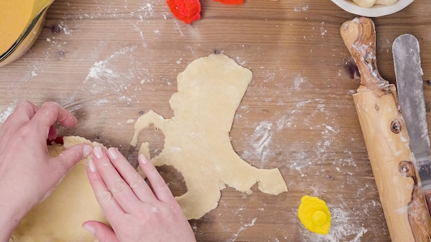 Passo a passo. Fazendo a crosta da torta do zero para assar a torta de abóbora.