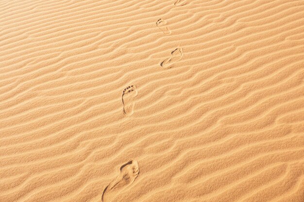 Passo de uma pessoa caminhando na areia no deserto nas dunas de areia de North Hor em Marsabit, quênia