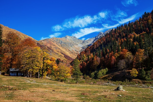 Passo na montanha Pyv, na Abkházia. Magnífica paisagem de outono. Prados alpinos. Auadhara.