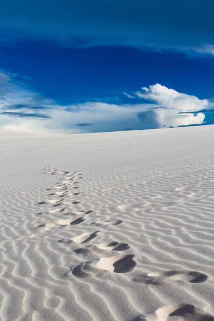 Passos na areia